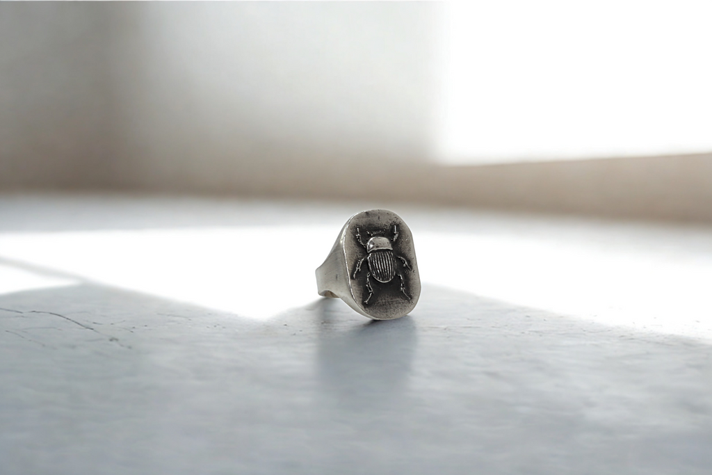 טבעת חיפושית