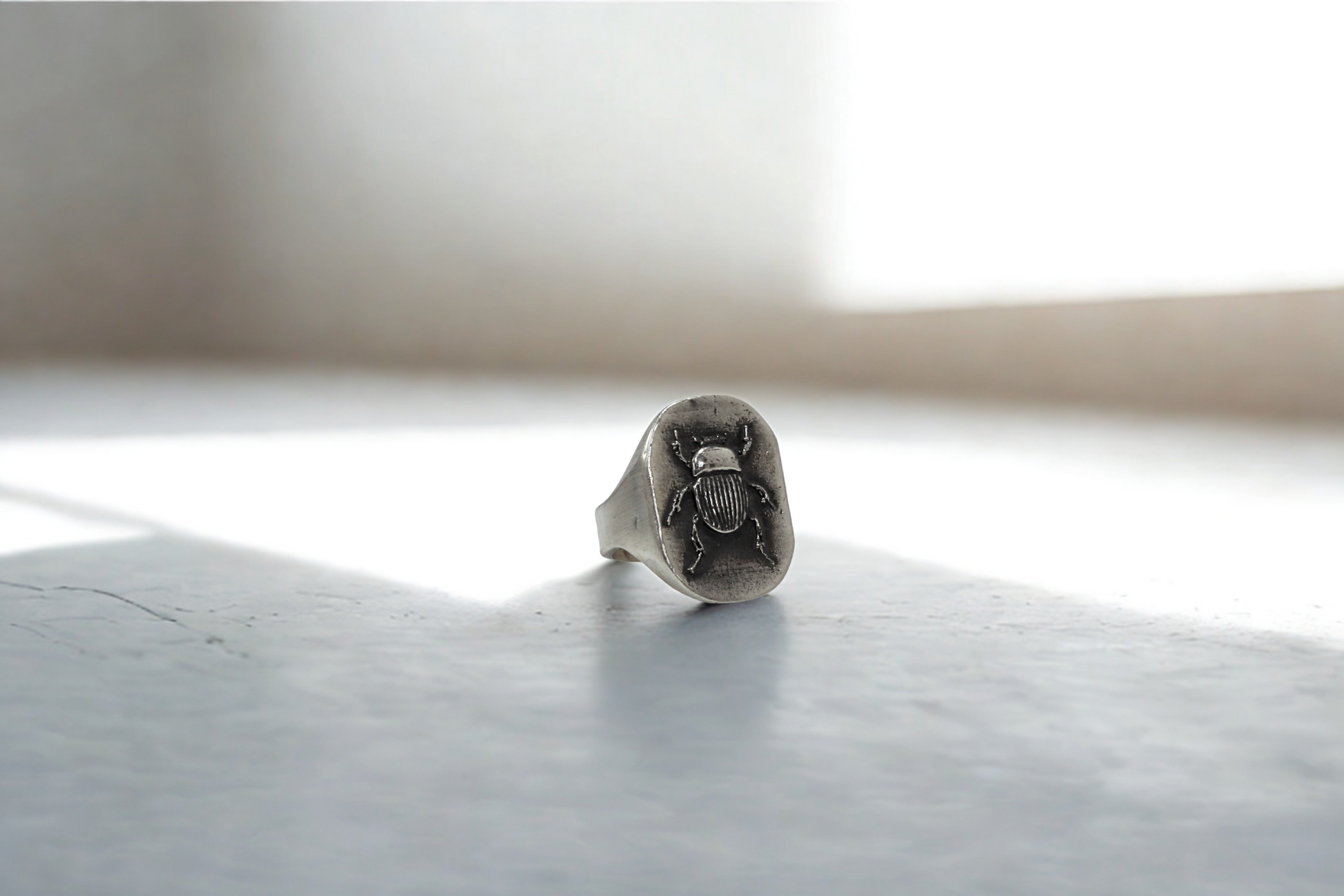 טבעת חיפושית