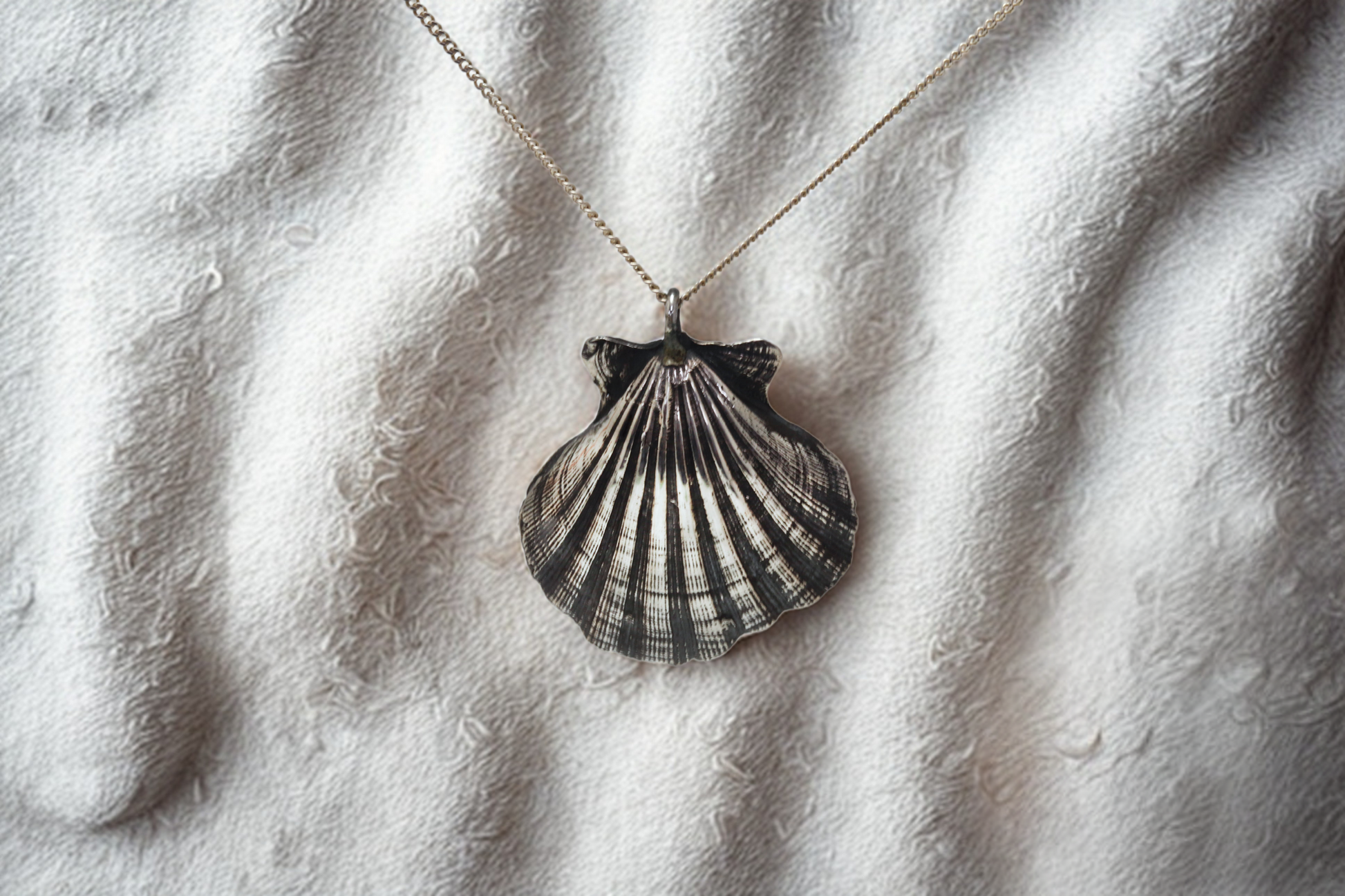 תליון צדף פראי