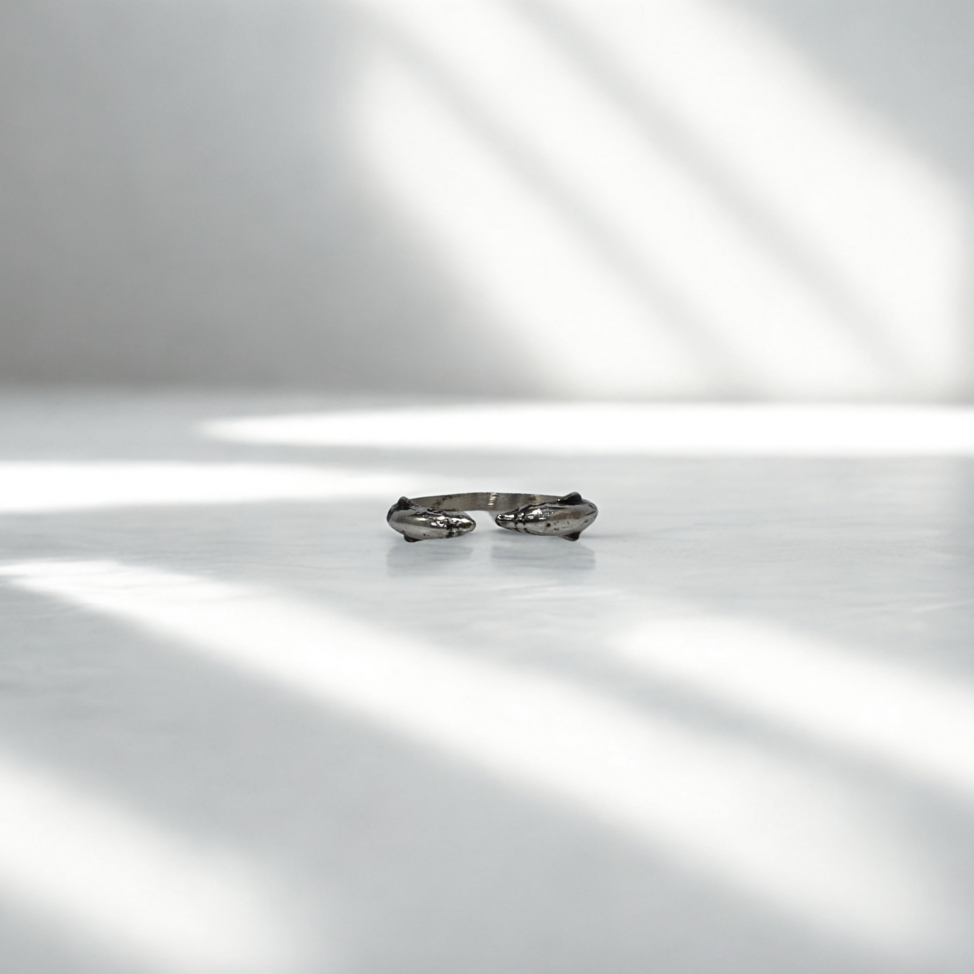 טבעת דולפינים