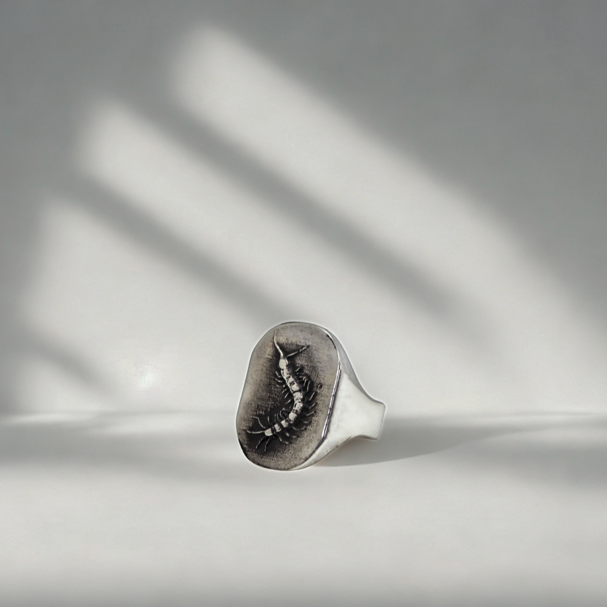 טבעת Fossil Centipede