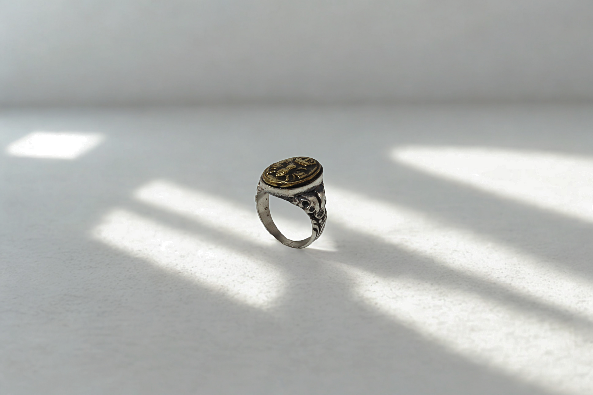 טבעת דבורה מלכותית כסף בשילוב בראס