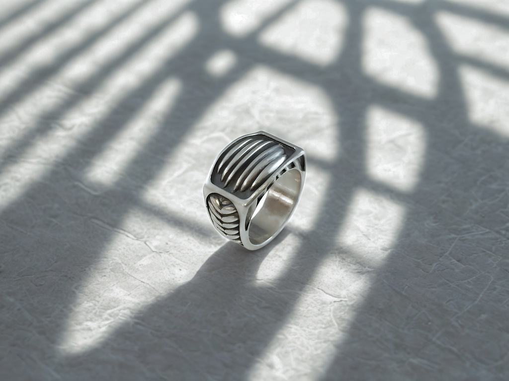 טבעת צלעות הברזל