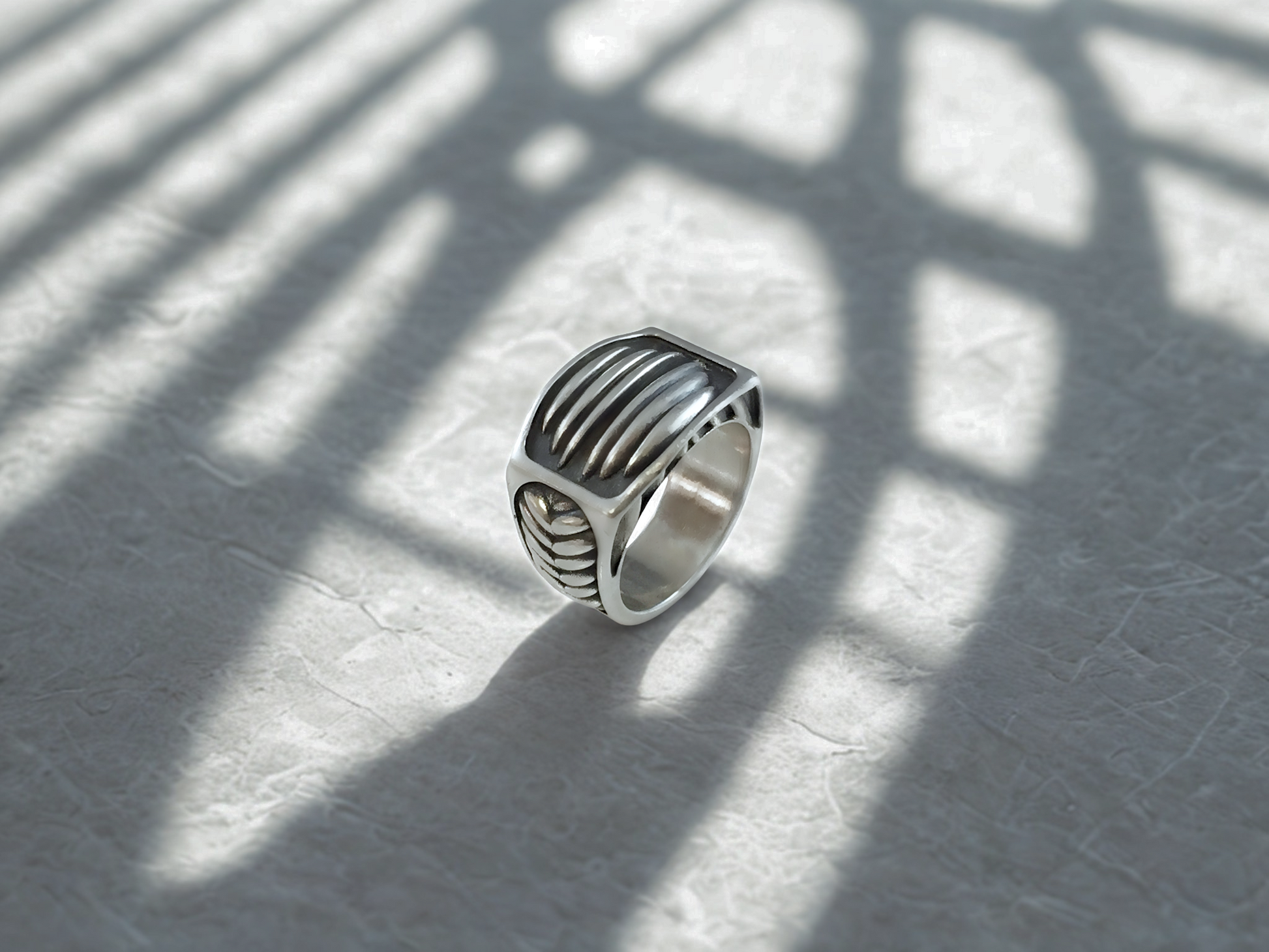 טבעת צלעות הברזל