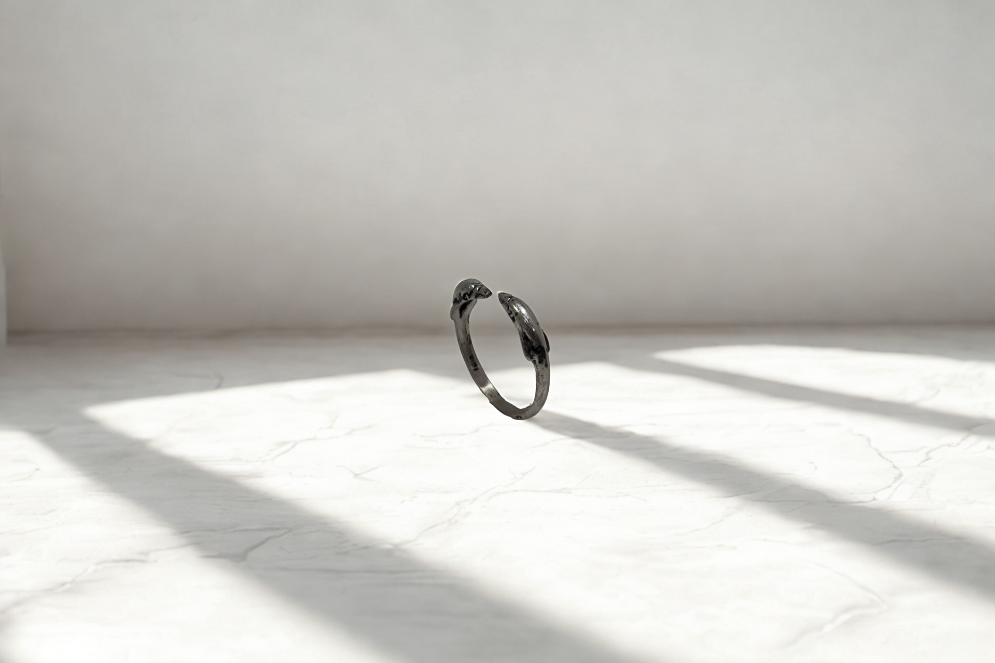 טבעת דולפינים