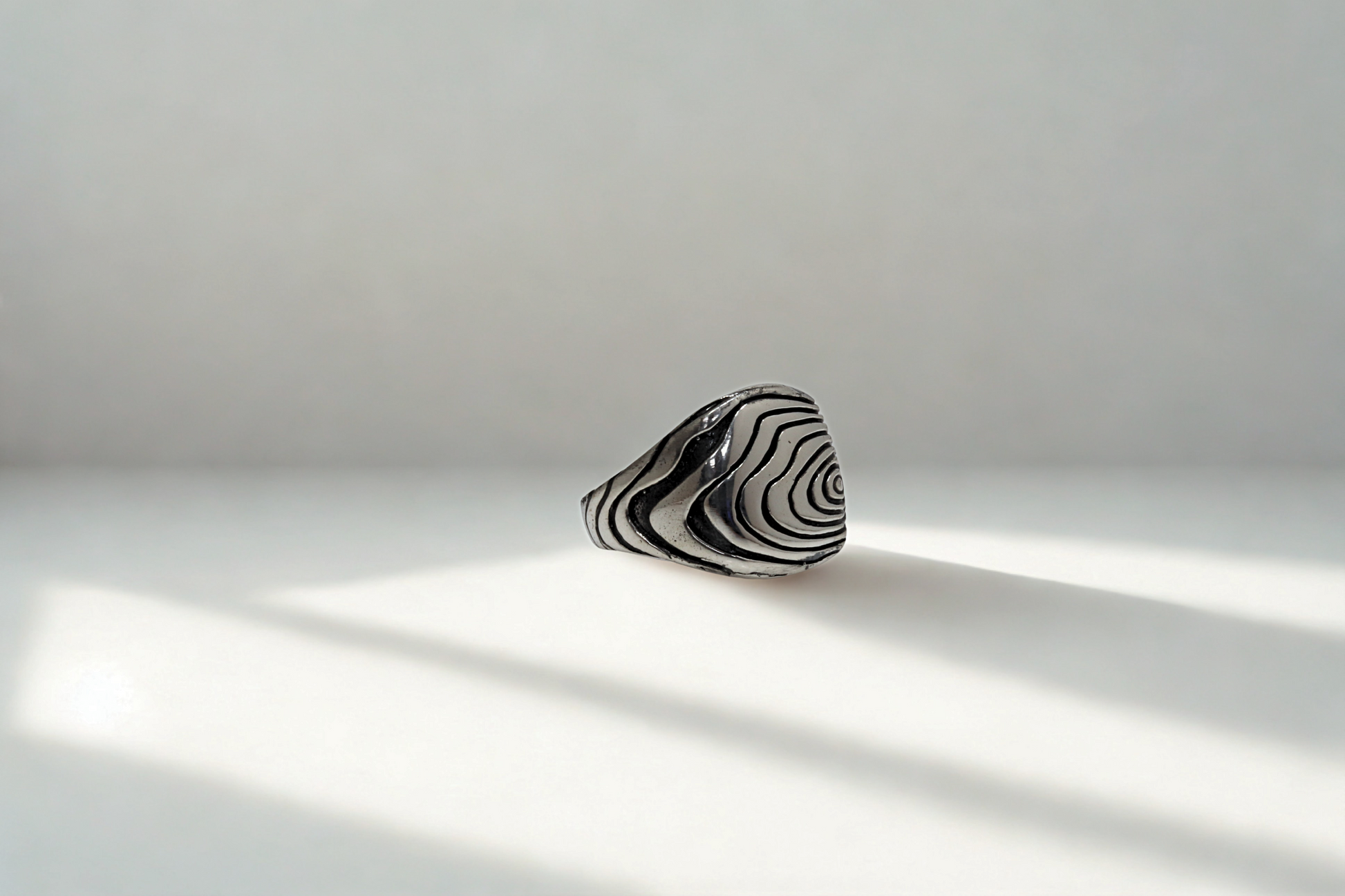 טבעת מעגל הגזע