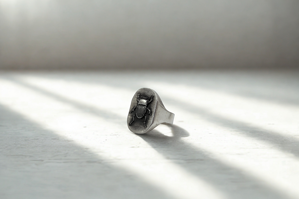 טבעת חיפושית