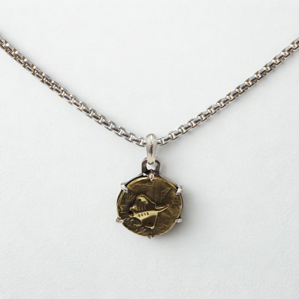 תליון מטבע חתול ים