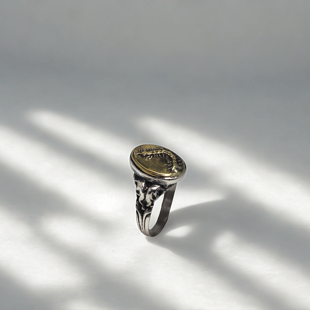 טבעת סנטיפדה – כסף בשילוב בראס