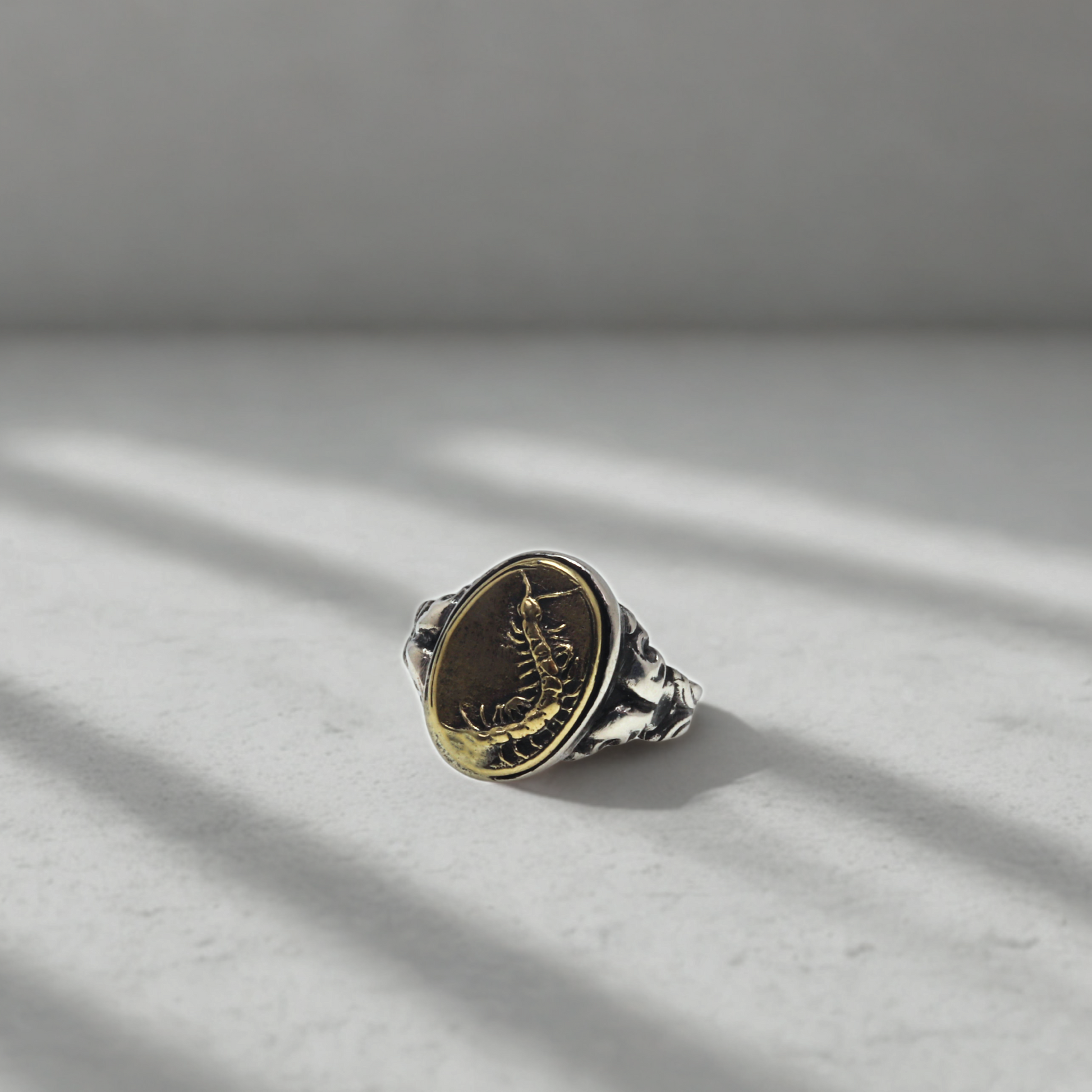 טבעת סנטיפדה – כסף בשילוב בראס