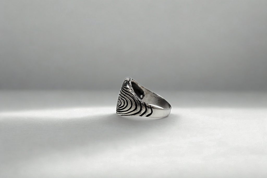 טבעת מעגל הגזע