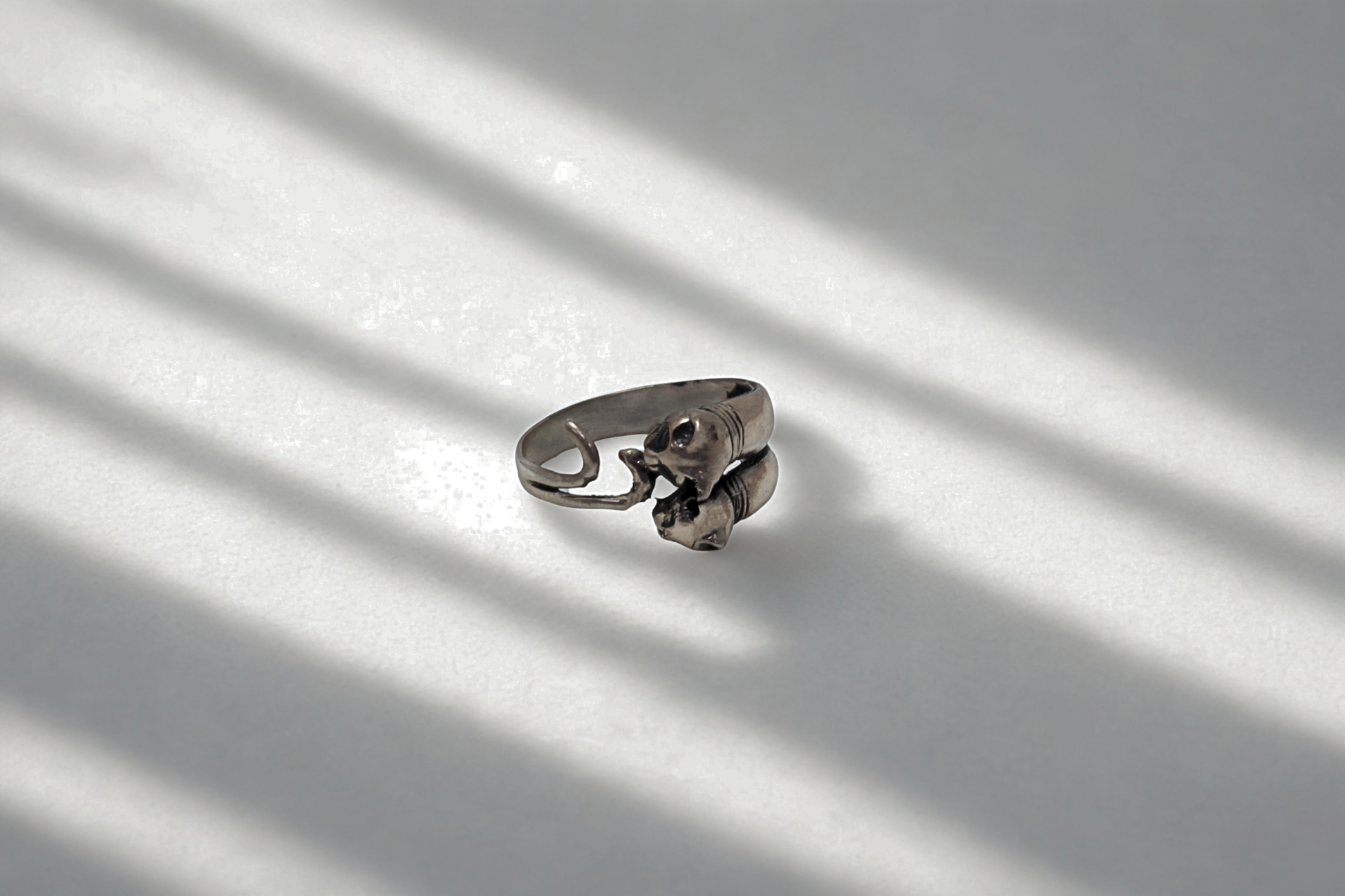 טבעת חתולים סיאמיים