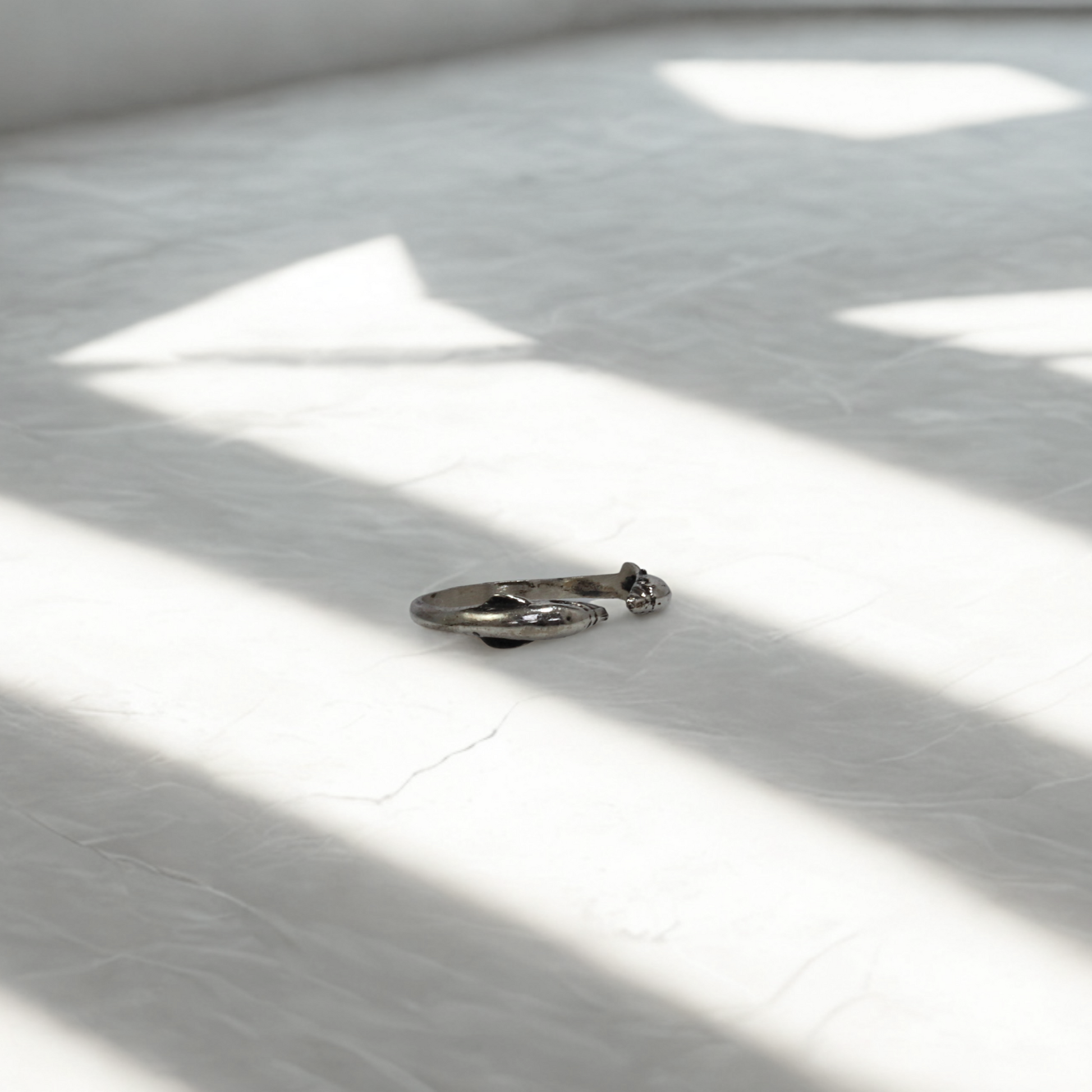 טבעת דולפינים