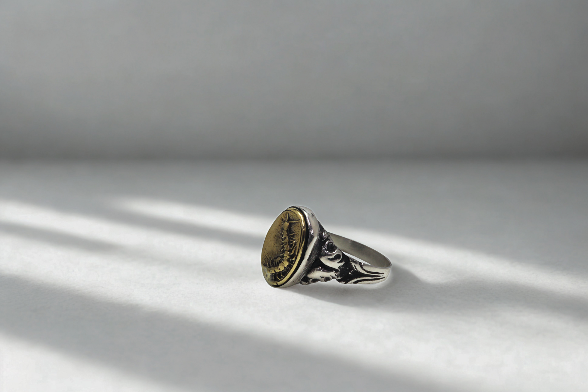 טבעת סנטיפדה – כסף בשילוב בראס