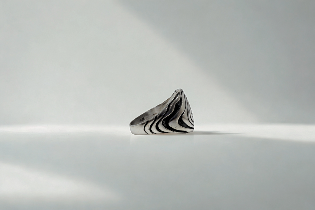 טבעת מעגל הגזע