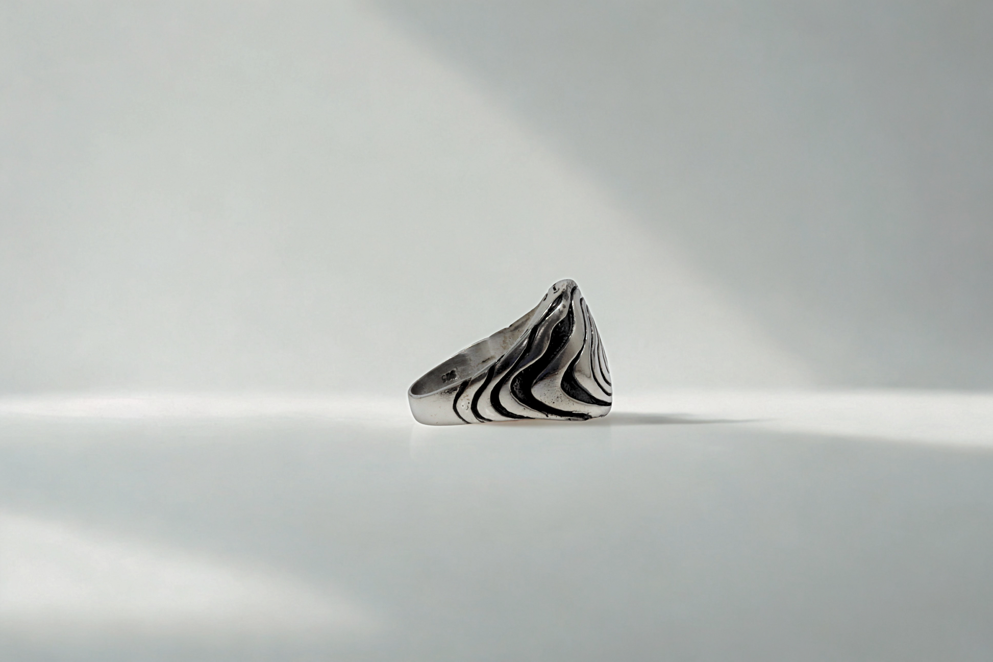 טבעת מעגל הגזע