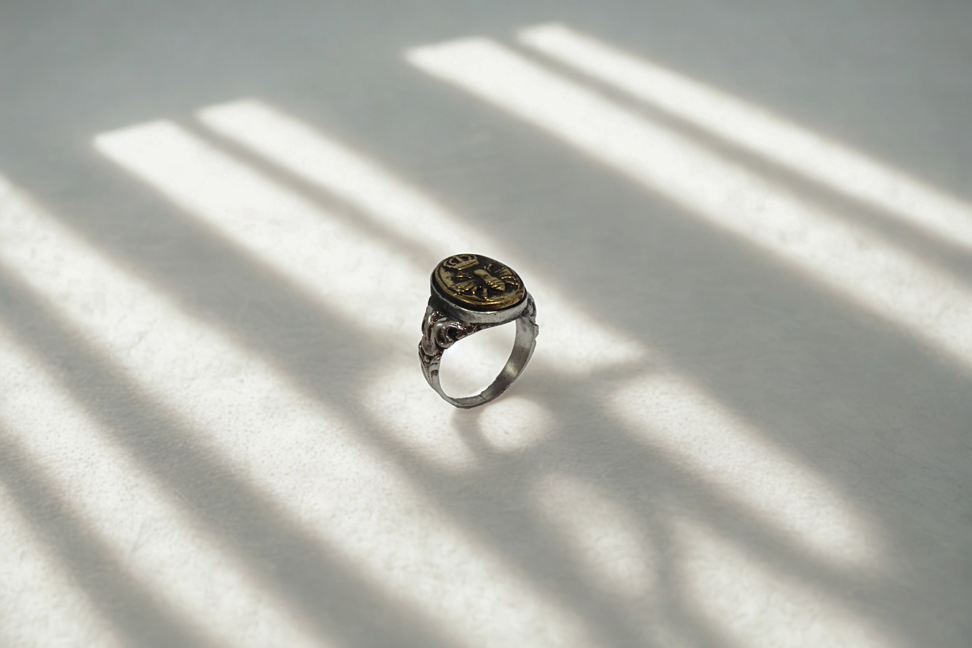 טבעת דבורה מלכותית כסף בשילוב בראס