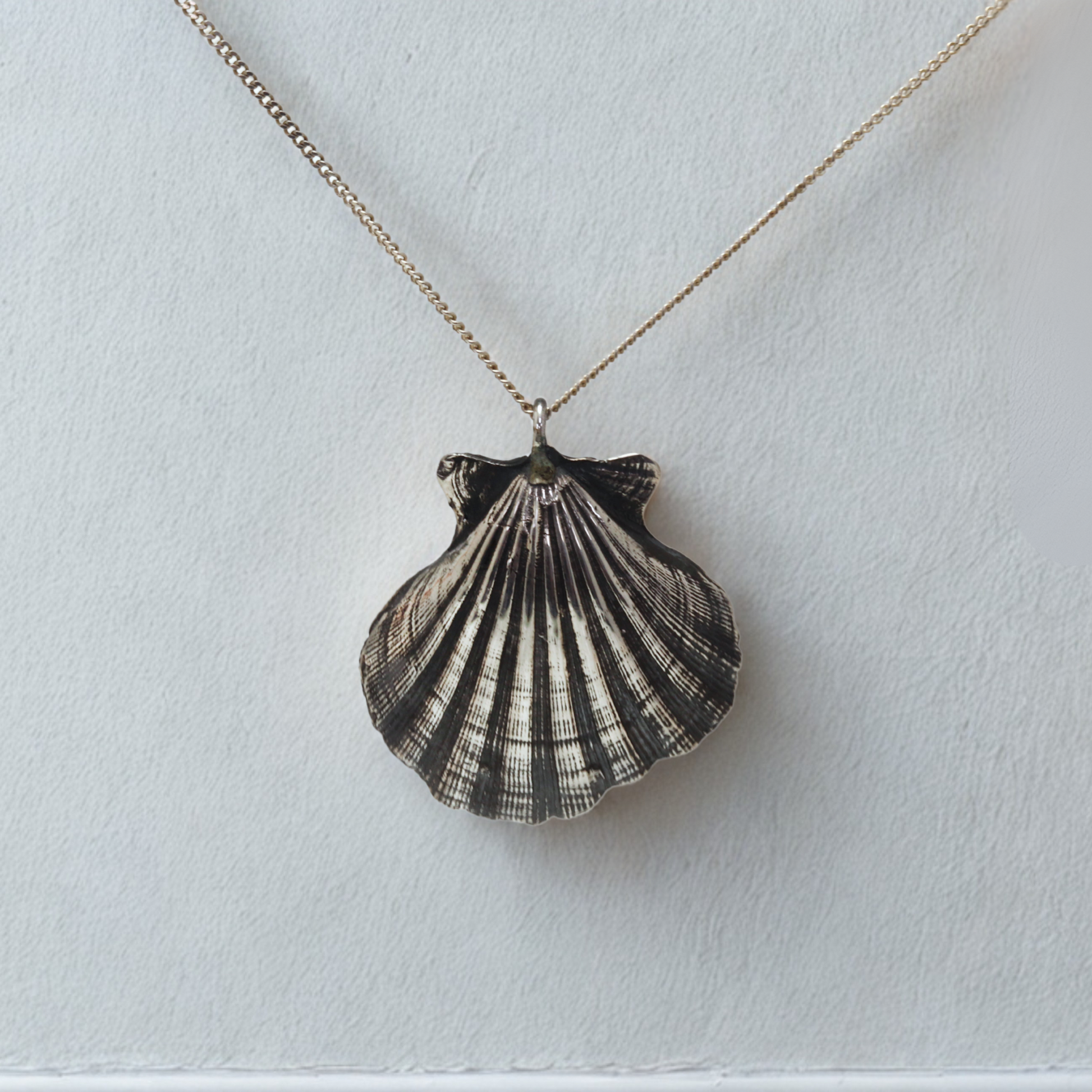 תליון צדף פראי